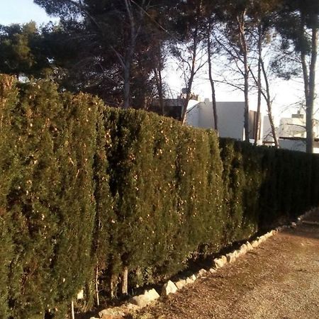 Pinomar Apartment Teulada Exterior photo