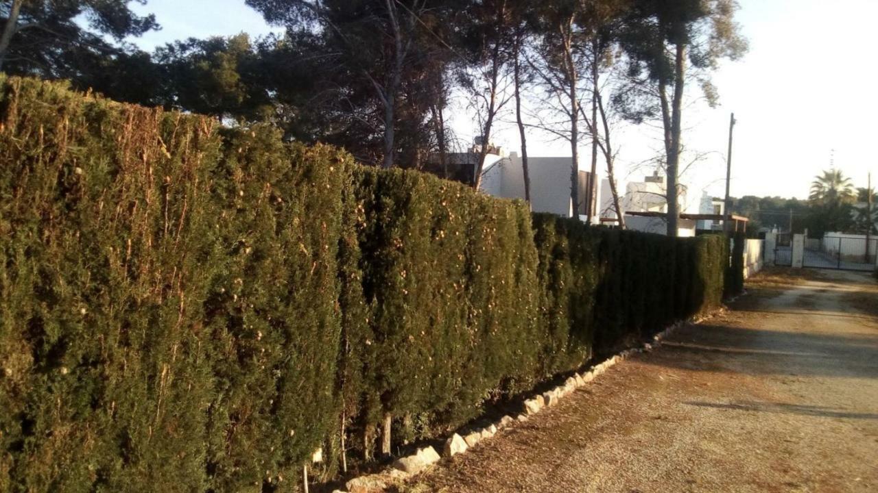 Pinomar Apartment Teulada Exterior photo
